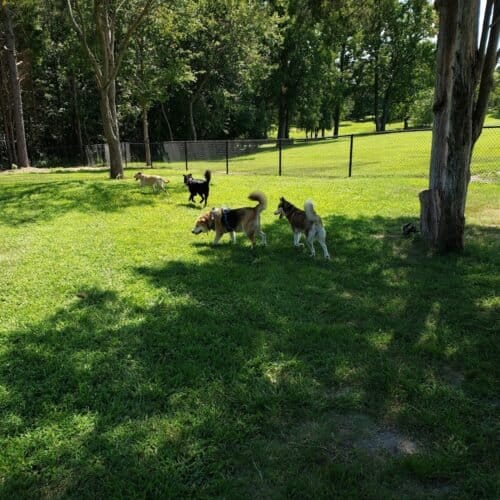 AC9h4nqGjVI937AuceQALvTf5C 3wUGuNf 2Y1OYGUXJqqV0YNQJCK99kEc3lr6osEo9TL2VZMpy5K6EIl2h9gVTL suiFYHgIB4aHRqRBr48uyTHhLbXl 4JxXotfAq1sMvaJHlulNnQQw1600 h1000 k no