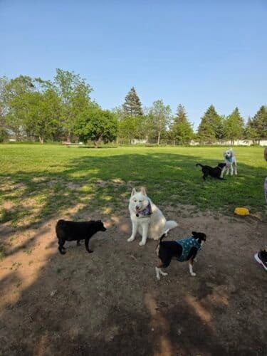 AC9h4nqGk eTKmjUpX7Tnq MnAUFo3Ju rT95sjl2L 7PT glxB4OxOka1gSv7hVFX5m wjKOlxojSSbKQ7Us ODvTfFA2A2zcIxLn1a0otrHjc LNMpopL1f70FIN Wm mzQ Er0 YKw1600 h1000 k no