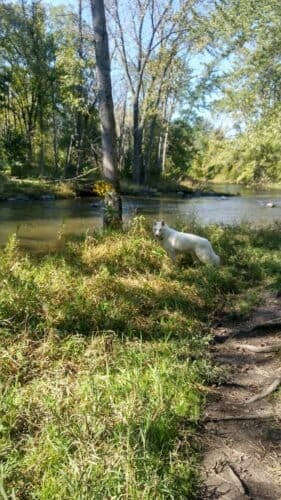 AC9h4nqGm2j7nD7lYMIKleX72yzx4bt1T KFgJGLXUXWX3p2592wxUgndEvwGSV Z7yUOrU8UT1WhhDAKp2DqfQaTzUaGQU3HaHW4RjekDsLS2g0ZDABPsSNPUXqL8Rsk4CKAydU4OAYw1600 h1000 k no