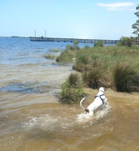 AC9h4nqGnEHEQKn3BZL0uyXBhQiS01bOGUO0B z69fH Dydkbdi7pcsO0R9oS6bB94Yzk5spP  kUT9QsF5iid88rvkEZ 1dIOwEM755R0Pi9bGnfSA2J36OSeUCa9BTPjIPsBXMarQw1600 h1000 k no