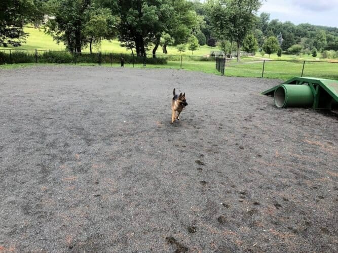 AC9h4nqGnylTEP1NJJvp3paczTL0DqKzoQ3fyn48UQbPur8VM2qiSIhd DlWAkta7xV4Z0zPfKmkoOjZpk1hByJFKzJvqneXuCzxloUoo5EJGppAp4wD1VMNbwIxJ8gGVN YGxbwrh8w1600 h1000 k no