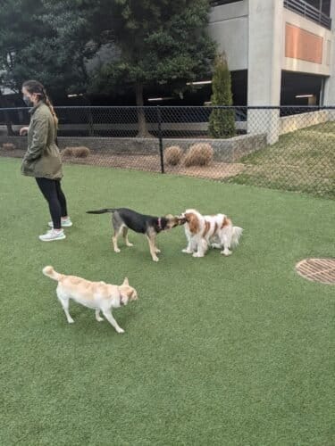 AC9h4nqGo0zA7dCdp3p56CJo dyRKEznvfwl6A2XhOtvySReZMuK2Ny5m8N4YxgVZIrVAdz11 OoY0jbCgu 5vSYbMhwt9RneQBAewcDFgw1600 h1000 k no