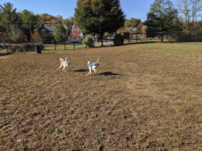 AC9h4nqGsUYuQoZXbIkvbEJKjEB14vZgmRkjY56ZMxiEvn6u8TCdtacLVLsf UFos9zR ITuuetSjwfliOE60CcBfcZaAqAOR9jyfs2lZinC6PwjiRqQPA2q9L54 f6t Edyt72pgsfyZAw1600 h1000 k no