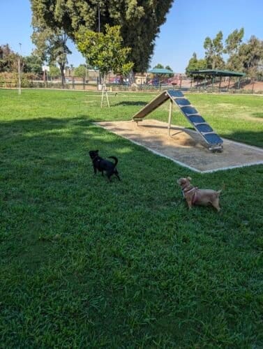 AC9h4nqGx8hJIEKxYNQ2qYOaJTGZdOPZVQeDyg1dl RXOYfttLva d16K9rsQXC9hlWx8TsE eoCumtPgHB9ssBDD9ILS8XDGZG8UGkIn9gMniQKQZerBV4kVNH1BlGKvfibIlmmWfb1w1600 h1000 k no