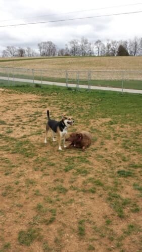 AC9h4nqGyzYavbUOQ1HG8sfLgv6t2g3bwzA MSfICJiH 0KKucBw7VgWRyviT7wOFTCxftTThgsgXlgz2uFTTcZCDjMWvn7UDv8OthzcRt7htv1uIswW3ETbwFFcbfUz N kzIMrw3kkPww1600 h1000 k no