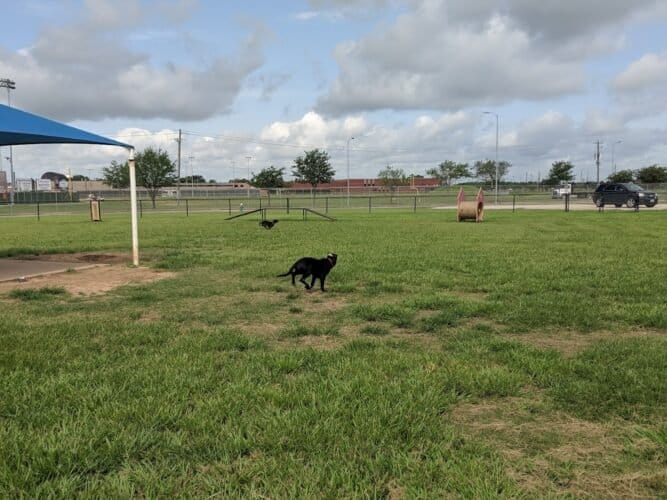 AC9h4nqHRKpjotLYwgIjNYyuA lCMBAx91SrcoMbuVs3be2Fa3TC89BSueIw IAjd0jOD8oKD ftRSECSijy04X3L2GabLNbn5oA5C8HCDG3Rbqbn346DZvvdNVXvItGLTGYuRIi7DNgYgw1600 h1000 k no