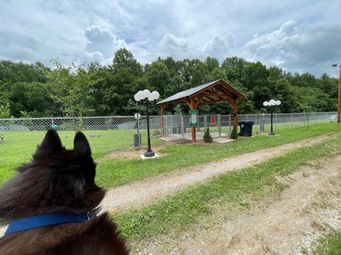 AC9h4nqHVltzDEUF 7XUS3TxGnkL2axlW MNyzA1DFIegEmQTpqtN4taukvNDhJ1LCZMENcM1za57V4RrjGCemU0Y5rsaFmGgrBr3a0xp7ubot0SmQs4H7KhzpkcihMi8SIaJobypvp9w1600 h1000 k no