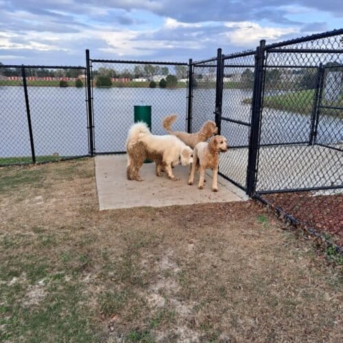 AC9h4nqHVzMkOg2wVzmcIzpP8ICko2cbP HSUIf00h6BnqbErcT t8fVa8Zk5a0h qaEDqE25runPyoHugNenMT7VTVfZQ9mVq1YfCX vZIOWNKAIJqohw1xLan38dsabdzelJzEtHZ32Qw1600 h1000 k no