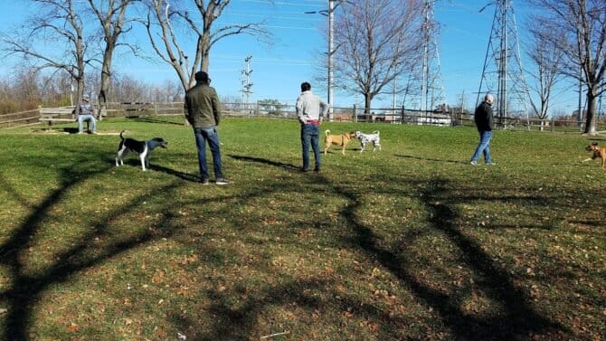 AC9h4nqHeg0RWqVsEjBiZJY0uHh3qjzChB3ns8rMBRJ KkAw4bl 836IA3NN6bvhNa5HHZD jm5SQmyDWtbplNowzxpwvg9s88hNcro8zaQgy96g4otkXkTBDrEJknD 7jcTqnTEu05mcQw1600 h1000 k no