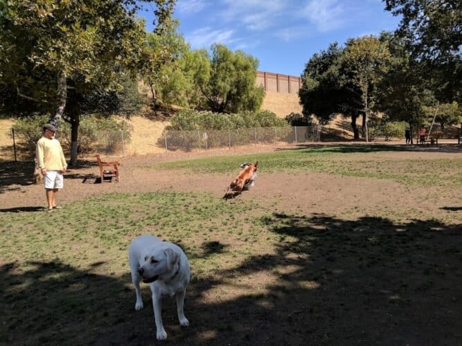 AC9h4nqHjlP64Cjdz3dfJN6uuvio72dMkVJtBejWASM0MuB8Fcfq7J12FzLP6R0IQT3 iDopibkFSJyulF6IxmrjiuBV4G IIF3G5LjFkNhB7bdptZeIRQYEwaRlAgcIDkR OU35ipO8MQw1600 h1000 k no