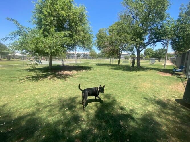 AC9h4nqHqj4BlH6zJ0128poa8IYXHYD0 LLx8X5QX9ge5P9OqjkBs1XYhCe9ULkRdDHUt Cvrw36unDtMH rKv1cZAw umvFHTi4aFxwHPbC5ZsYEG5tElCxCw34Q2LZGwL2 RUEOrOe ww1600 h1000 k no