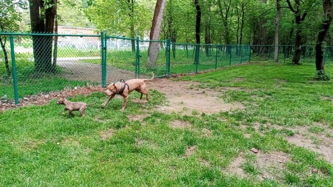 AC9h4nqHtmYnUzToJ0h0etI6FsQinhXRGKlCgU1eT6k5r8C jRX bDDBmA6TIyfv67UQ KwiGuz11QAziNfkctvrlu1vUg0uGqgPkSIt FVFDcYKybOQCIsxVMkBBPYqsqpoXd3Qvzxaw1600 h1000 k no