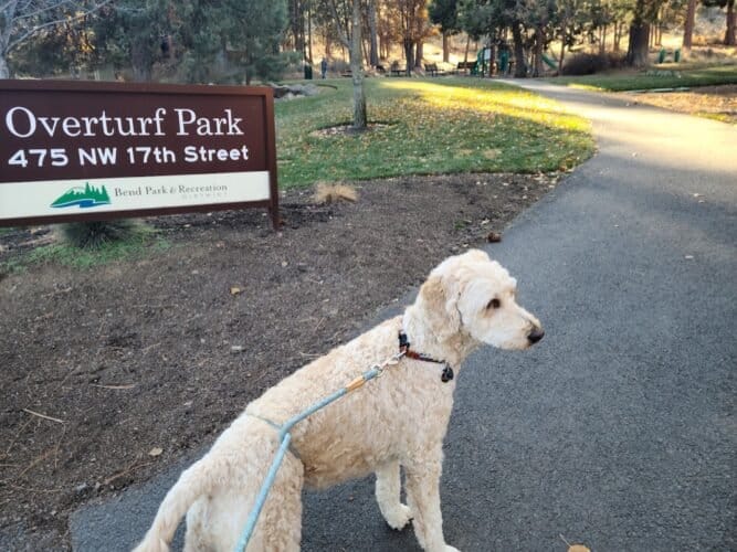 AC9h4nqI0pX9BDAp5 QQJkNCFl3bFNBfpOaHzEUQvTUNwUE3oCdBFbhzE3u2jSZPjcF67hfmJSL PnwaT7nGrUhRmjcKTkouIaTTeJTQflNmeIblF G3DJoG8wmmXVu875YCGfDB gRSw1600 h1000 k no