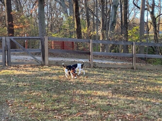 AC9h4nqIBVKxY1viXU8rWH4BYGn9EYR5Q3q3psromDHTc4wW2ZHEELQU5BhgQBkEHSohpnF9unVpcyWaHHISXlc3VVyg4ry5x60bQR5i6zjma6RBrcuTzbjww lJjDN MadP rOujG8kw1600 h1000 k no