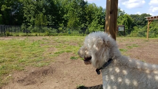 AC9h4nqIPKZ3 knmYkhNZkTpy59lZWLzzRO1Q1vVFxyxNwq6dmMIYWq4nSl7ring 9ITZsTn3 XeCr6Pvh9UAykDVrq18gtuFfpvlvEK2n4GYCZ1Qrw1y0kjSoKvXW8c449wqodehehhw1600 h1000 k no