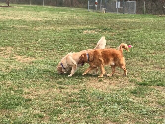 AC9h4nqIQxVc8WPZJqRS714VnVXFHXyJ40qyVXYHaQ4Fd ktKBJ0AozqPkJJwqx7WbB7c DfVJ3bwNXAw KZiQ1dYo2XWnQZ0l0iik8dNTGPxGjbfjDizpiafTbbEWrUEoSoXjAitJhBw1600 h1000 k no