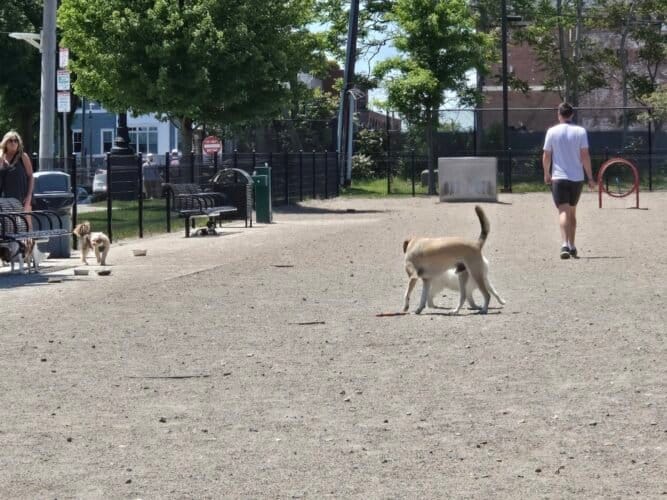 AC9h4nqIW0YIMzmBHM13rudJzunuEft5JsBhtPUvt0zvVdBuLnpNYYmosFeUgS2F49qgDUcYK7IAyb5Kv2szxR8SOyoph9oo0BRvdj0ehqR3yEuDLFiL8h6fEyL0G1JSNLg5oPTktLdKcAw1600 h1000 k no