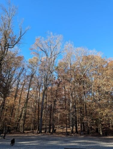 AC9h4nqIb83EDEWhew6KM17hqrdhOdujpJoxr9ON 0yZpPQwTl26NhonOUBXsOll7g TtwoQ7RaYLVrTX0IFnaOQ2sYNa R1GXRHnBDxCNX 0mJb6keUCGDlen3gUyjnG3m5n8Qjb9kdgQw1600 h1000 k no