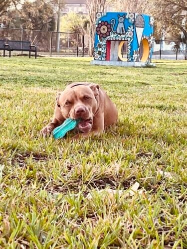 AC9h4nqIjwWYrSguAFwBuk2j2wEDUYnqZJNxFuRreDX2trzUpvZkXoFNS5mEvwX MexJEpW5nLkutGc09SoWDT2OQQFnuxxBfzpy8umV8LLORTLw6qBUyuF0O5HFwMHp7zoynUwWITJKw1600 h1000 k no