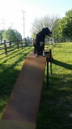 AC9h4nqIn1Qs6ddjUFJu7xxwJ51Yq  Qx1SrXANmkyew3PTpGnRrbEHfsaPMY1htVJHrDmSKwi LY7de7joWvMDxxmbUcuCGaUx5LsHbF4PEYGME30xXJxqFUcyje 3EL lN10xilOgw1600 h1000 k no