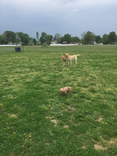 AC9h4nqJ5eVL49iDQWQSuZBHcgj4mLkXc5rgScTOXxzSHhbsWsbtN8YrR Gz1O 6Zp8q up5g4lLHcY6gOnF6wPzcDfH0lHK077 0fW7U7lmUwmy726bL4YyAF4g6HrtB02TzgCFfh 8w1600 h1000 k no