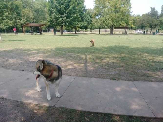 AC9h4nqJ9qYJ6RpAD17kNn1st SXIfucql qm BNEgcBXrws m7oHDoz2Pqfn9zyPANySwhqMUOFOF5rvmDH69mRVdy UA6Cyd8D7nOxzSsQiNVAFfCWT0Q Og1qO BsG t ApCNa4 mw1600 h1000 k no