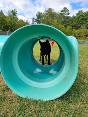 AC9h4nqJAPC4kDwv96Bp5YjnTcUY8frVLNnfRPpdACx75raw6GbsJjE6wAVWAxhkJ0M5FPTmGmjwbPAXLfIns3Yq0gO9dART07ojxzyovkg4ekcpL9Wb2DEwTmHl1xBwKeSUjXIiFOrsw1600 h1000 k no