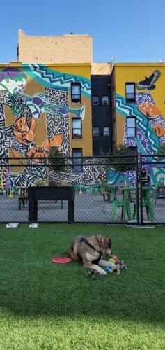 AC9h4nqJbBV5Oh9edeaDSWoEcIlDWXyEYlWqtVGaKrddHAyZgrrSaX2PV5 VcoAabQMcUa35FNIsXhu hdk1e09x3iPC1OD5PlDzvwY  7MEIQ8 5S6z54rVvlmf4kCtopmgncJfWEV JAw1600 h1000 k no