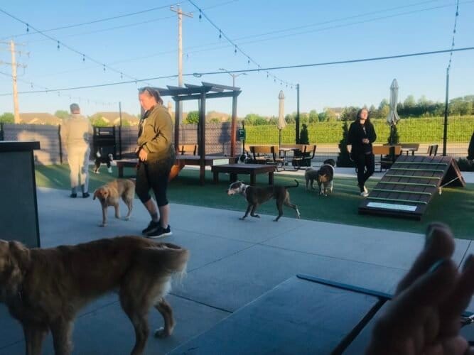 AC9h4nqJn5pl Yjorea8ITF2aYDuI0gEbtrxTCI8J5ce06HNdOYkKyJyeYST7LgOlhfcqH9hR9JeMS1J1 56sfZirbeP Y1LPdZMB4Wli4fziypw6Hcnojc3nrrtFWYlU3qZz8sYsZ lw1600 h1000 k no