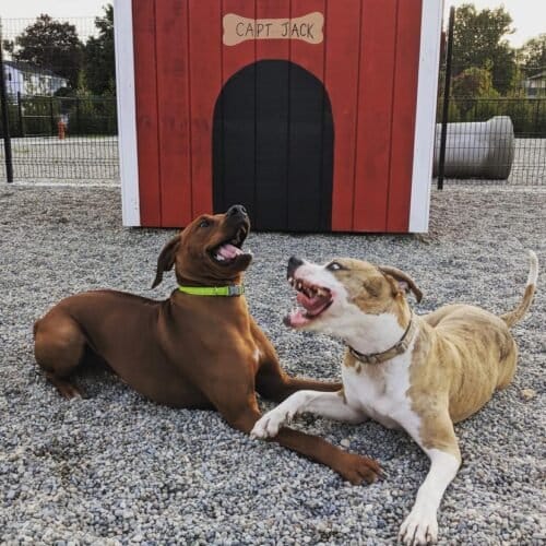 AC9h4nqJnr Nh7Dvyngb GzvTtoUDeqQ6pv4IMsmAoYxLKiZSOg0oZ5 5A8rF sd80f9pt1yEdQZanPP hMvri7W3NBi AkEdu7y9dQamNVTYe1WIHTMCvcxy1KV7CnDLCcYYadCCnoqPQw1600 h1000 k no