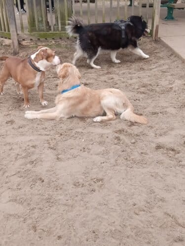 AC9h4nqJy9toW3oAYpRH99UkKowZt02IW07eWc5dT Nu2sBi 2tXqtGUFNrTPCY4Z3kkBJxf8zJXGu1615NJck00V4LZtQ6jajeOsZygrsgZ VkD2E7GhOHfk YQXRmL67bCJ QuNfolw1600 h1000 k no