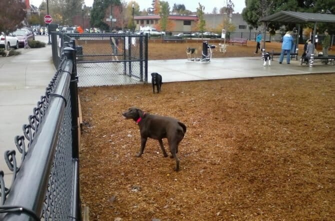 AC9h4nqK4rTM4L10NcKc jVzkFuxD qiBOeVpw qVs9itHCDjnWvdlXkgsJ9zX28dzLGDFbHZRZ3pFbEtphaLVmPI9Vdqv1gYoG88BloDZDAet7c25MBUYDt4t5m9sJwh m56PvfLVEAw1600 h1000 k no