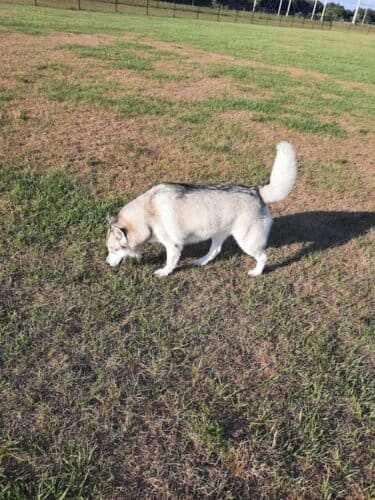 AC9h4nqKKSvpSncjltJLFUrHJTsK yLJLksedNgkrOaNtzhMivEO1k6 fDh3B7q9z tuVIuBCAYgTUjljlFHXGukqVu9CIxuBMN1c4ff OnIoRdBDawXpXRxunsuGsKqvrB9AaGJb nIww1600 h1000 k no