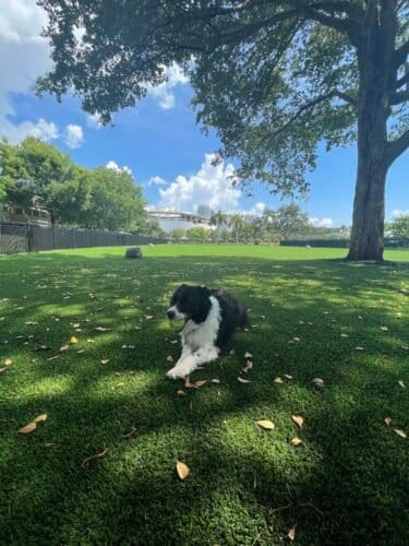 AC9h4nqKLpLHnhnyeOCiezRew6ss0aoWqkAbFXm2sS v0gCO8Y4kJJHVsaRz8nrPcVbSPWGK6utVL9v2ouEpJBKvYT1S20Js Tp68m Kquv2Cu0mQs5prhsXqLYeJG92I3cJL6eKGrJPw1600 h1000 k no