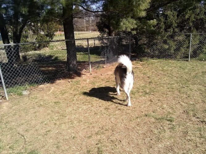 AC9h4nqKMrsxEDUUCF4EI9JRKu9f9xXgJ7 IG pwac1iMuTkEkI5VnVZR6BDkV66ppo0teUVt4jxB0GmvDwcveQr8LeGQ51YoNFU3XJ 7Ty1UQr2QknOTHFq7OK uf0OjrMBwFBSaScew1600 h1000 k no