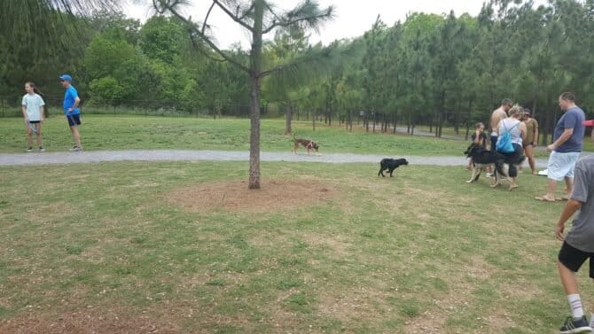 AC9h4nqKbBgdRkfkgjUkWQ3upc2nmLdWrjHftdmtYJlRN RpHPHSCFJm0Ui hRrM9 F33a2cdTVkjrqjsKRBd8Qe0Ygz9RDR2Bz CSaFLoww1600 h1000 k no