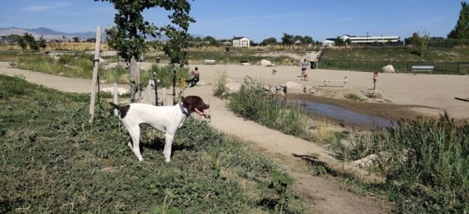 AC9h4nqKmqRxeZKfEH2q7pnBLhKZgyFt7PETMGtFSVHaxW0ZPSsyymLes4NbNQ4tS mA1u CUno8lOp0V2piNppXoZmYEEHK3aCd9IYj iKlQ9J T kCdbcWbLMKAsqOV76ISgb3 eemw1600 h1000 k no