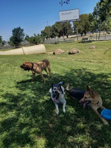 AC9h4nqKwTsfkGwiE9j tnEIzlChxOOumM40xxhffkkWV1O0Xwb2mM8v Nv0kYZS81cInUcAS9Hs60wVKaxaWvEVXYz1dODSEbwLkpqZPS fXfR18NDtSrnOaw9zu0Nq9L9ch2qr5G9 w1600 h1000 k no