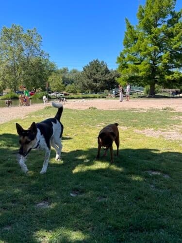 AC9h4nqL 3NHEeA7ixhgpNxUwP37AOw w80ShyNnU0IxgqnLSxHozGUapIihmb QFkogUy87 IPERjU3nFzPug5cZfvodGiFKOLf zqPRd8IcqLDN KgLptEonE4ZQ2AEYnrFwwjNTgw1600 h1000 k no