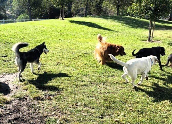 AC9h4nqL0u1WiAtZaJhckpxMXqcPBtCmXXC7a8BGnL8pPOHkKzPdwvCSGrf7NNY3QiX76FtMps0vM76XfVCGZm R4 PjBR3eTocMdmojiyMc mt eLfPAUp84faC9DfUTxMa4dbAroYw1600 h1000 k no