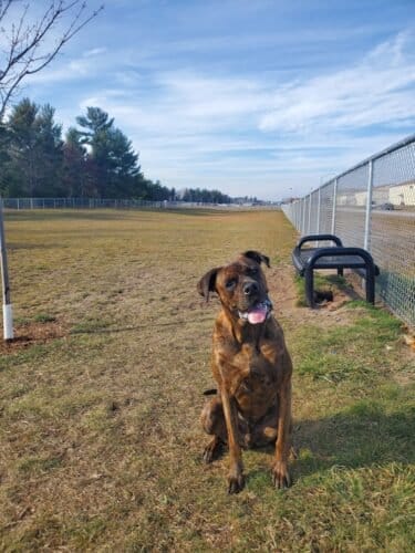 AC9h4nqL4aYNHcrDX1b3pqxTDwqopQ0t2n oQ4Pl9OXb312TOivrkdKtJ0V0AZXZMT2pi7MQ53vlbCqCVvQL5yhB5UPN sFDYLBIoZU9xhow1600 h1000 k no