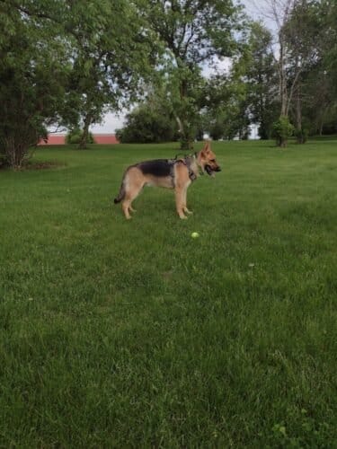 AC9h4nqL7mXzfWgn1 FQT0j 7 csegiz DfQXlsCp iMkgUNG5 J7hztdyaIYR9qLEP8FEG0pSbhukvXRDZc kTFhXLUybPlmwb7hiYJh2jf0mSGWRb6cNSm9qMNEpT7q737UvQpPMEw1600 h1000 k no