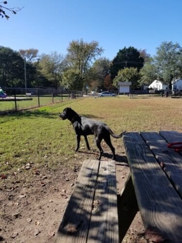 AC9h4nqLBdT1BHI359KNDEJdy9v5b7wRPNUaJjA9bJQvTAY96014U7GfJjO2VG51k oIwe02glBoXtSz8l4yTb0ofU9UWLJSjYovGESVS9XuIw6Do4XswFKEIE BV9FD9pqTWZenI9gw1600 h1000 k no