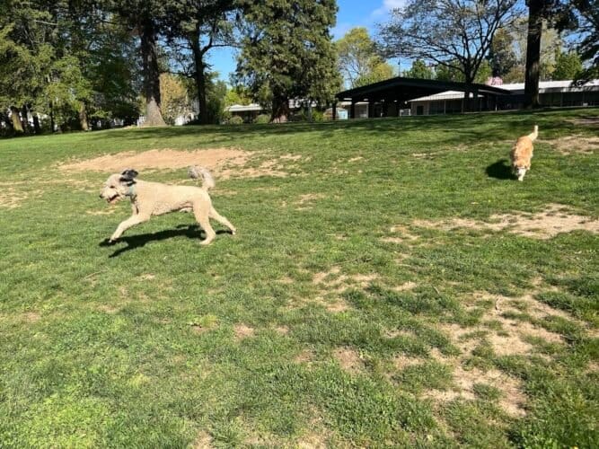 AC9h4nqLFL UgELdMC6ZKgINUs2RmlAJy2isQ2XGKvaplc1NKxkxzO5Z92KAWCDFZ9MPRRvzHOyAiIozviL7 V2a9N5wR76r0UxEr Pr5OYw1600 h1000 k no