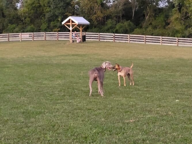 AC9h4nqLId4ApzjOdiBYWzBmkfLDjD0ZYAIG 54tul98fpFqb6zr6BnBwgQhg1n9T2 uFsasHu2MPZTNpOxocO smbRGp3lNZ3qz YhJRl4AeRKmd1vnmIfaGwA 9V3LJs651z136Kow1600 h1000 k no