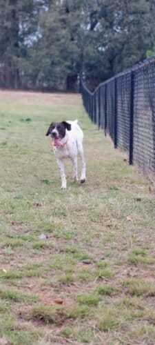 AC9h4nqLPz3pNS7sH81LAaNqlSGkQIw4E bXjtYv4jCC zFfa8ZGM2fpbLUVGwQmPNsojk9rVXGJxMQPiNMYntkhaxP6Oe3 2T6HYqlvnntktebNROtVe12t1Xp3KL5J2tXzAEU9SCIZw1600 h1000 k no