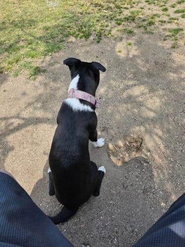 AC9h4nqLQJrSWDDrMmG8WcgPmW2cZOXDH5G1CAeNGb6Sq3ZfJi99wmEqrdqvIArHIlg5kw04MYRKscZ2iMi0xWTXr9LUe1MB eAv0AT1nyqbXtMCfmwsGowESvN8sHl4Q QTDGjKU6IJTgw1600 h1000 k no