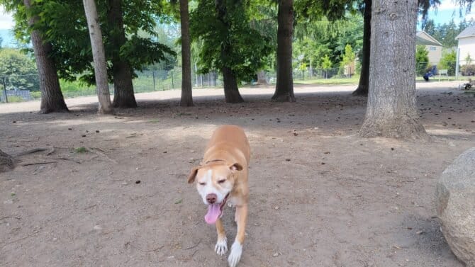 AC9h4nqLT JnSMgJrtOchGEbnxUDog 4MhZNIqShJ8fK6cehd5S9ukAlzo1NcLdpQTy GK1ng4ESXIGLSjp94s4SW6b7OjlE4EMGwReCjLYRRAycRoYmxCOiH fSBJYYPRCDKaPs2zX9IQw1600 h1000 k no