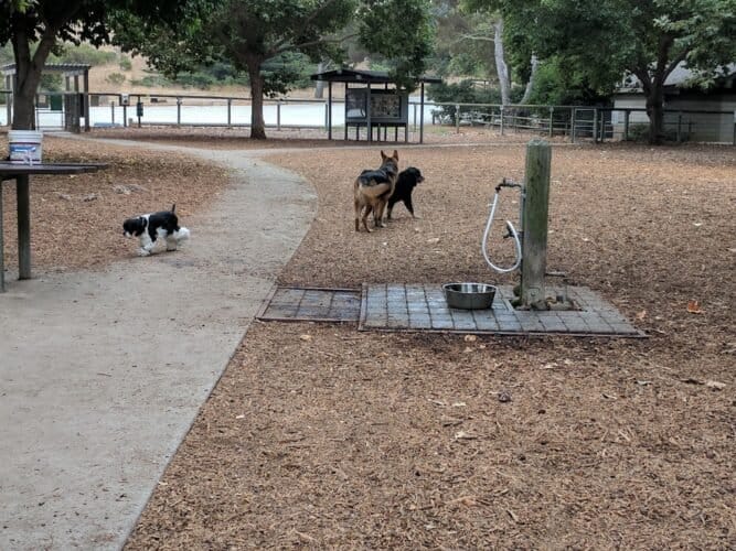 AC9h4nqL 53QUkR8c6Q8Fi2hZn0aFGcMdrmGHp3reghM9416ry4PfsCaBHjhPmL9mdagSF7xuErFMFv7PYUG8DQfxCQx9FlATbRgoVA25Uug5utqskCnEuDZW0Fsp0Rat3QseJvb p10w1600 h1000 k no