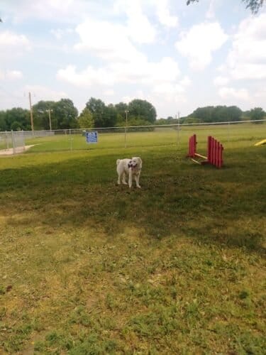 AC9h4nqLazGeZoH5MNaeGw p9sVS 2CZ0vFb1cmPEKfnpacb3AQMyf3 R47PMnVQatz3uv3nmAUAqwAumZu4OarsmhGRpsdnBvMsaryzoLbHQaZxyapl1RHrO2B9ujgAZHVoFuMRw1600 h1000 k no